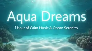 Aqua Dreams 4K 🌊 | 1 час эмбиент-музыки и подводного покоя