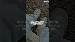 11 de enero de 2026
