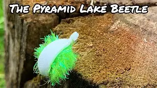 Tying The Pyramid Lake Beetle