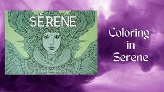 LIVESTREAM | Serene by Nick Filbert