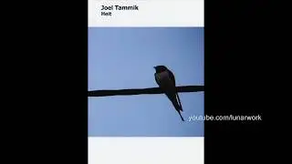 Joel Tammik - Heit