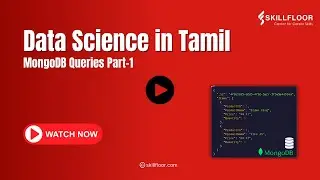 MongoDB Queries part - 1 | Learn MongoDB Basics for Beginners | Skillfloor
