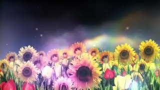 copyright free hd video scenery for video editing background 27