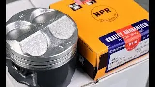 Nippon tłoki B16B 81mm nominał - jarusnet.pl