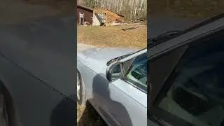 Got the crownvic