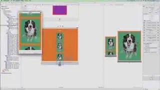 Auto Layout - Scroll View