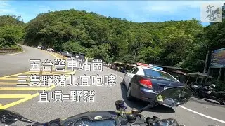 究極山道 三隻小豬北宜咆哮碰到五隻大野狼
