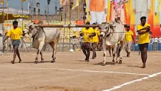 పల్నాడు జిల్లా చిలకలూరిపేట గ్రామం 2 పల్ల విభాగం 7వ జత