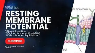 Resting Membrane Potential | Nernst Equation| Goldmans Equation| Gibbs Donnan Equilibrium| #cell