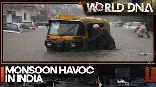 India's monsoon fury: Record-breaking rainfall causes chaos | India News | WION World DNA