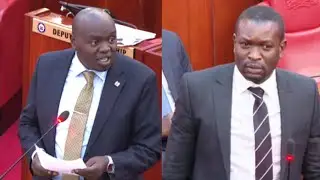 'We are getting sick &tired of this rubbish from Cherargei' Sifuna loses his cool,lectures Cherargei