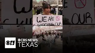 Hundreds of high school students walk out in protest against ICE