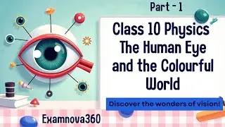 Human Eye &ndash; Structure, Function & Working Explained