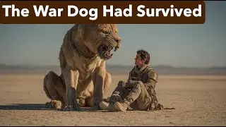 The War Dog Had Survived 2,000 Years Without Soap&mdash;Then a Human Mechanic Appeared
