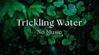 &ndash; NO MUSIC &ndash; 10 Hours of Pure Trickling Water Sounds
