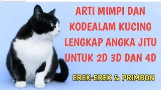 Arti Mimpi Dan Kodealam Kucing, Lengkap dengan Angka Jitu Untuk 2D 3D Dan 4D