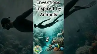 Inventions inspired by Animals|#shorts #viralshorts #trending #facts #animals #didyouknow