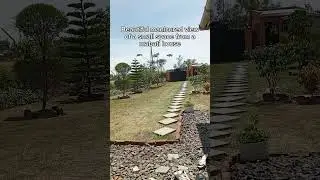 Landscaping ideas for Mabati houses and Small Spaces#simple