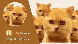 Kitty Finance - Новое IDO на JulSwap. Сумасшествие МЕМ коинов продолжается.