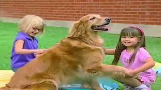 Barney & Friends: Rabbits/Ducks and Fish (2006)