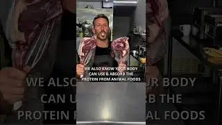 Why you should eat meat