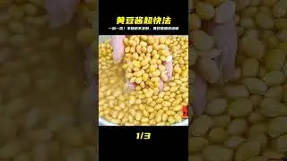 一泡、一蒸！不曬也不發酵，黃豆醬做法太爽了！出鍋就能吃 #美食 #家常菜 #简单 #好吃 #制作