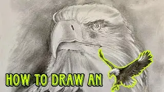 Drawing an Eagle&rsquo;s Face | Art Speed Drawing #drawing #draw #drawingtutorial #eagle