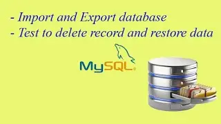 Exporting and importing the database