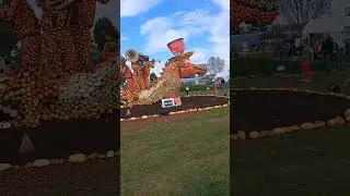 #beautiful #pumpkin #dragon #gameofthrones #festival #shorts