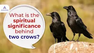 What is the spiritual significance behind two crows?