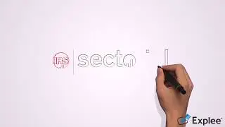 &iquest;Cu&aacute;l ha Sido la Transici&oacute;n de Sectorial?