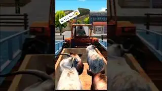 ye kya hua 😱 #trending #viral #shorts #trendingshorts #viralvideo #music #song #animals #farming