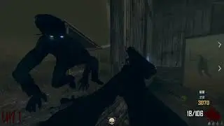IDK BO2 Zombies!?