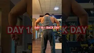 Day 16 | Back Workout &ndash; Lat Pulldown, Rows & Deadlift