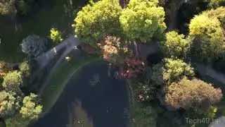 Antwerpen Stadspark - 4K Drone Footage