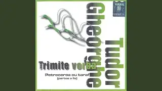 SUNA PIETRICICA-N GARLA/FOAIE VERDE GRAU MARUNT