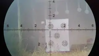 FX Panthera with 50gn altaros slugs @910fps