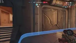 DVa Bug