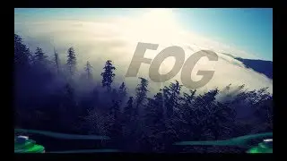 FOG