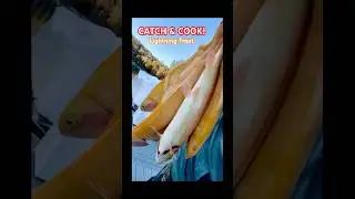 LIGHTNING TROUT CATCH & COOK!! 🎣