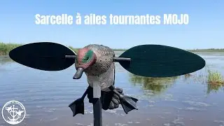 Sarcelle &agrave; ailes tournantes TEAL MOJO - CHASSE EN CAMARGUE