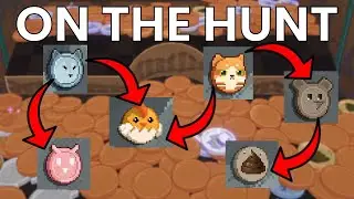 The Circle Of Life Is Coin Shaped - Raccoin Demo