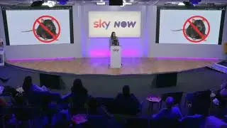 Adventures in Accessible Storytelling  | Becky Rush  | WDD Conference 2020