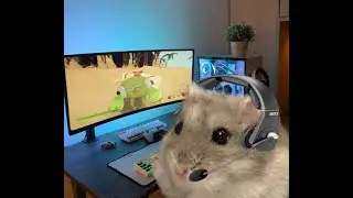 пикmp4