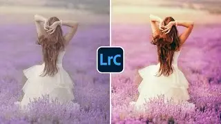 FREE Lightroom Preset 