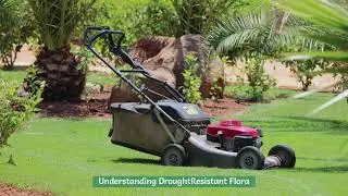 Yavapai Landscaping -  Native Plants For Prescott Landscaping Enhance Your Garden
