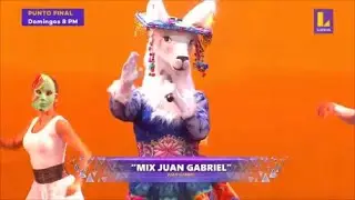 Llama canta 