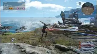 FINAL FANTASY XV: Timed Quest: Cactuar and Slactuar