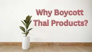 Episode 85 | Political and Social News | Why boycott Thai products | Chantha Khem True Ideas