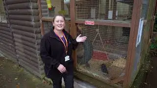 Animal Unit Tour at South Devon College with Laura Roberts